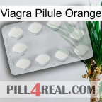 Viagra Orange Pill 16